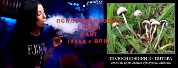 трава Вязьма
