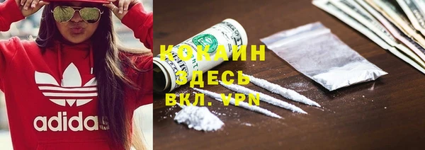 спайс Вяземский