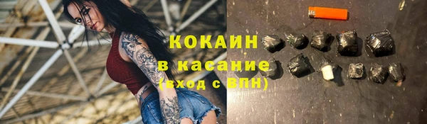 сатива Вязники