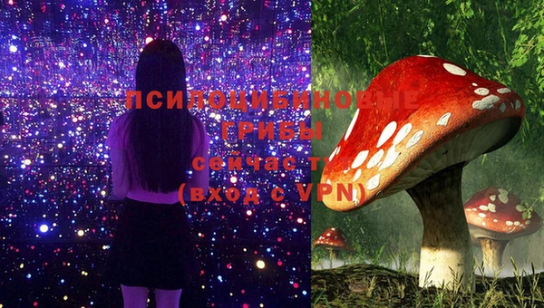спайс Вяземский