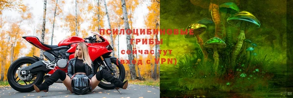 трава Вязьма