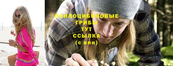 спайс Вяземский