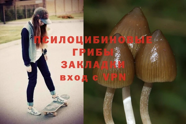 спайс Вяземский