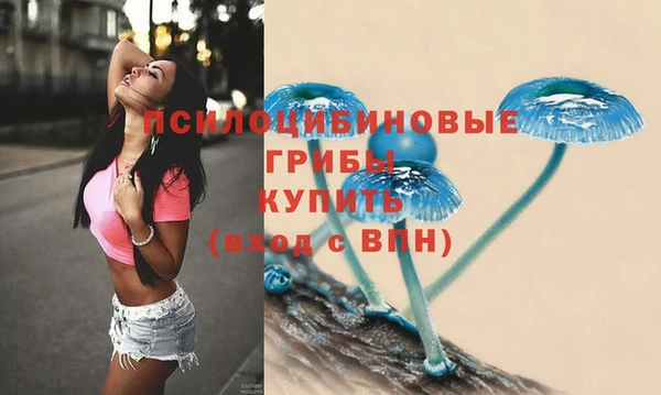 трава Вязьма