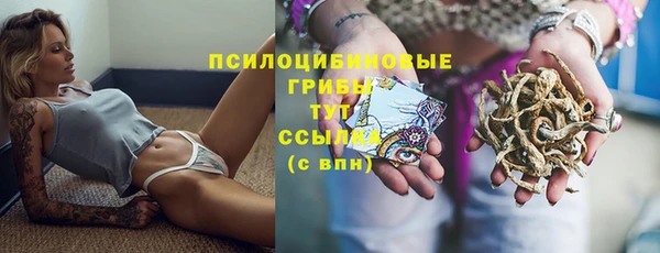 сатива Вязники