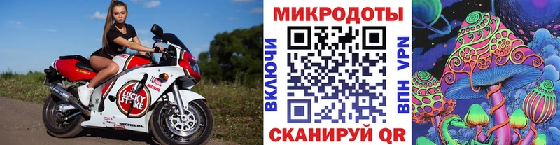 Псилоцибиновые грибы Psilocybine cubensis  Купить  Бердск 